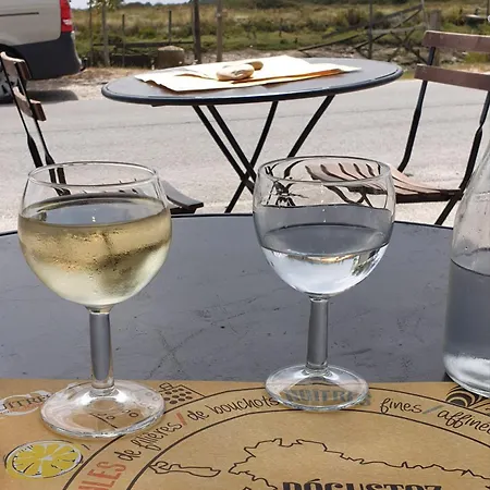 Séjour chez l'habitant Balade En Estuaire *